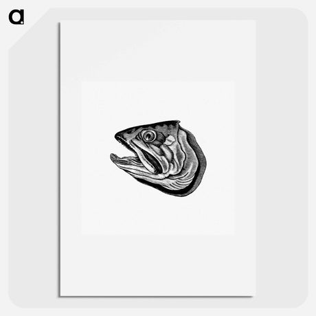 アートポスター-Fish Head
 - 大英図書館 Poster.