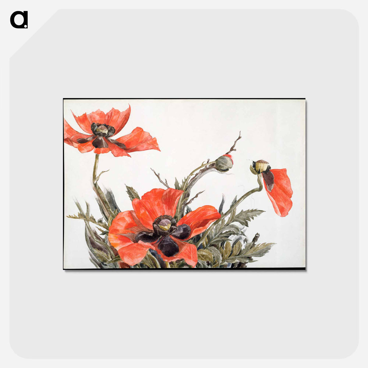 アートポストカード-Red Poppies - チャールズ デムス Postcard.