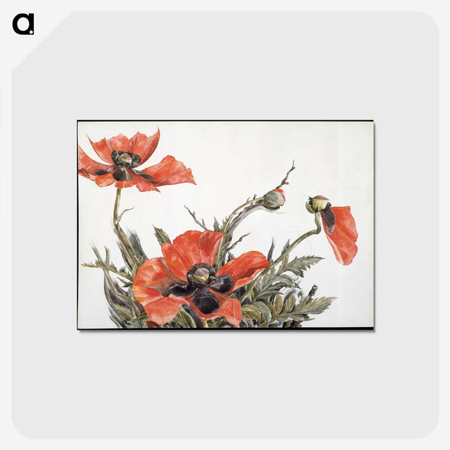 1-60_Charles-Demuth_postcard