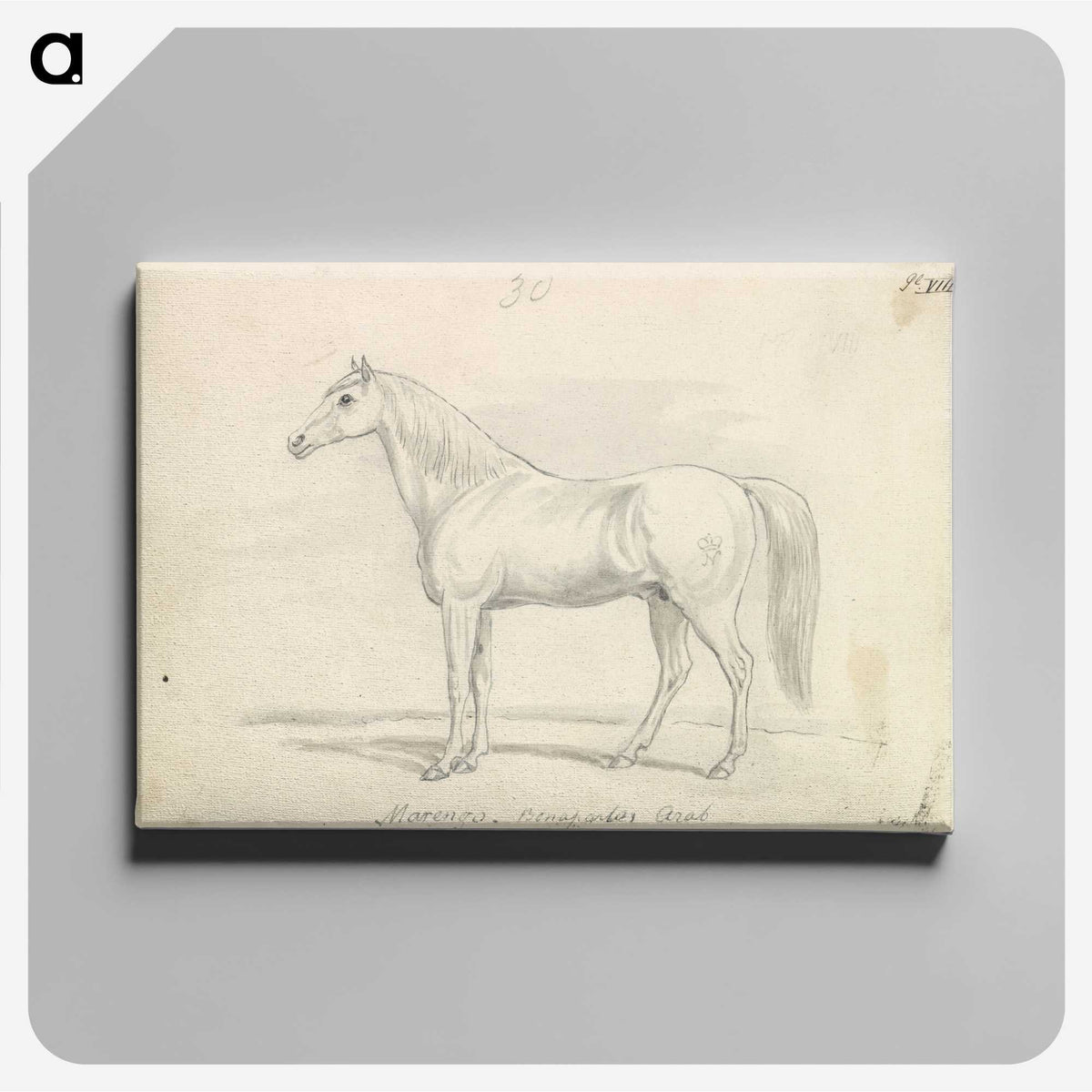 1-60_Charles-Hamilton-Smith_canvas