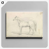 1-60_Charles-Hamilton-Smith_canvas