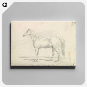 1-60_Charles-Hamilton-Smith_canvas