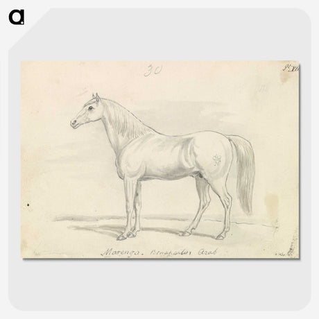 1-60_Charles-Hamilton-Smith_picture-crop