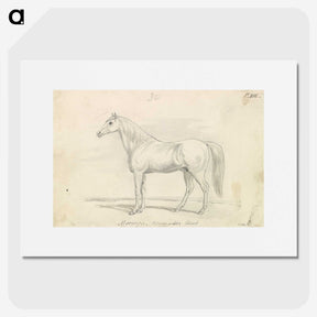 1-60_Charles-Hamilton-Smith_picture