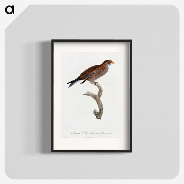 1-60_Des-Oiseaux-de-Paradis_blk