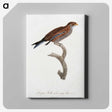 1-60_Des-Oiseaux-de-Paradis_canvas