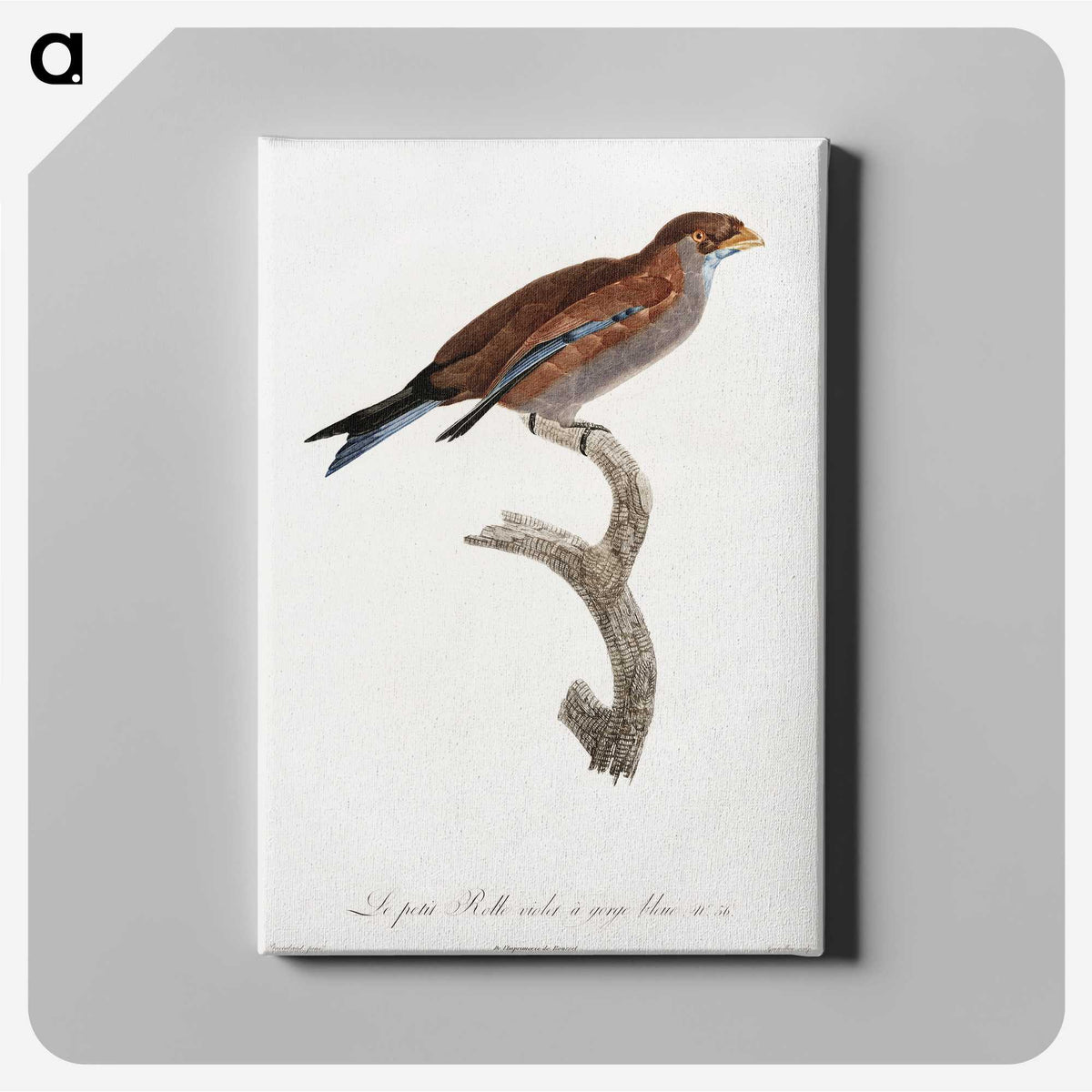 1-60_Des-Oiseaux-de-Paradis_canvas