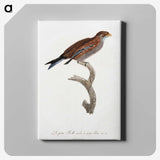 1-60_Des-Oiseaux-de-Paradis_canvas