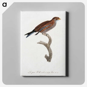 1-60_Des-Oiseaux-de-Paradis_canvas