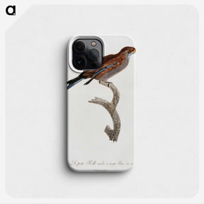 1-60_Des-Oiseaux-de-Paradis_phone
