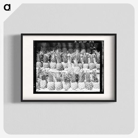 1-60_Dorothea-Lange_blk