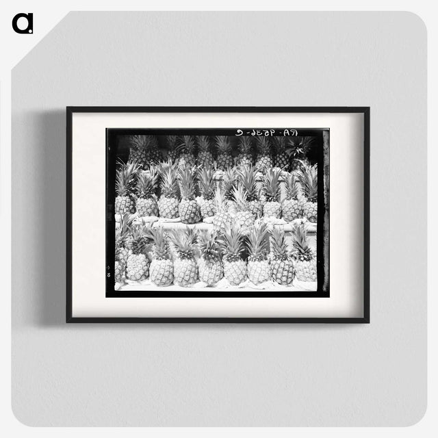 1-60_Dorothea-Lange_blk