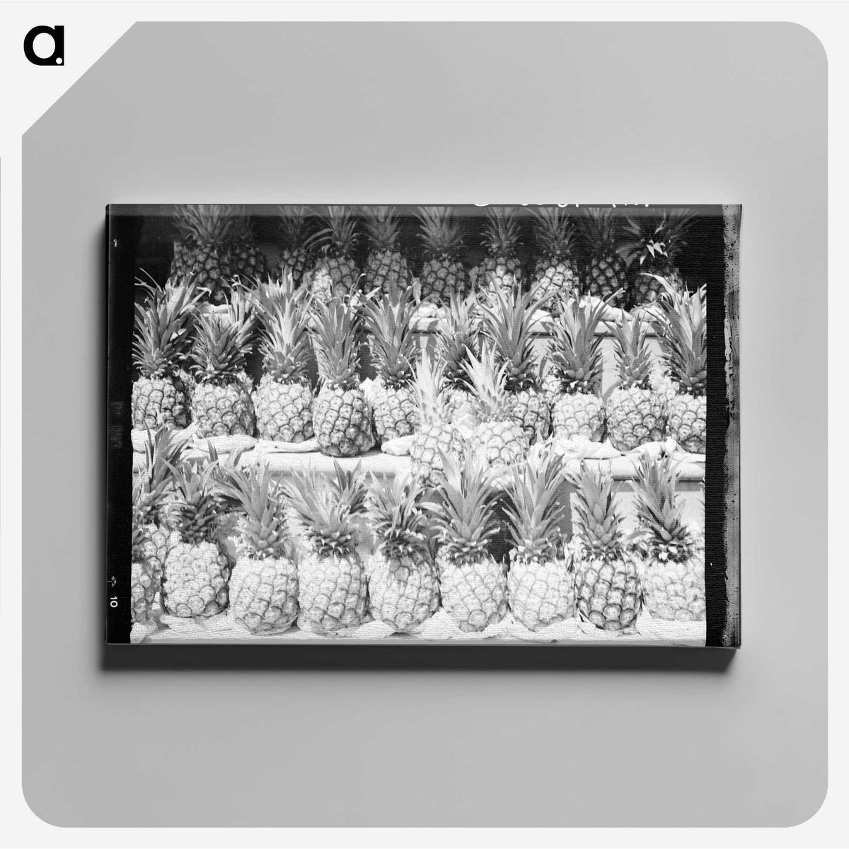 1-60_Dorothea-Lange_canvas