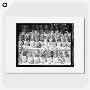 1-60_Dorothea-Lange_picture