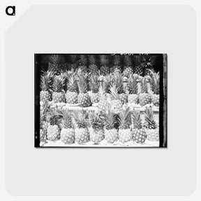 1-60_Dorothea-Lange_postcard