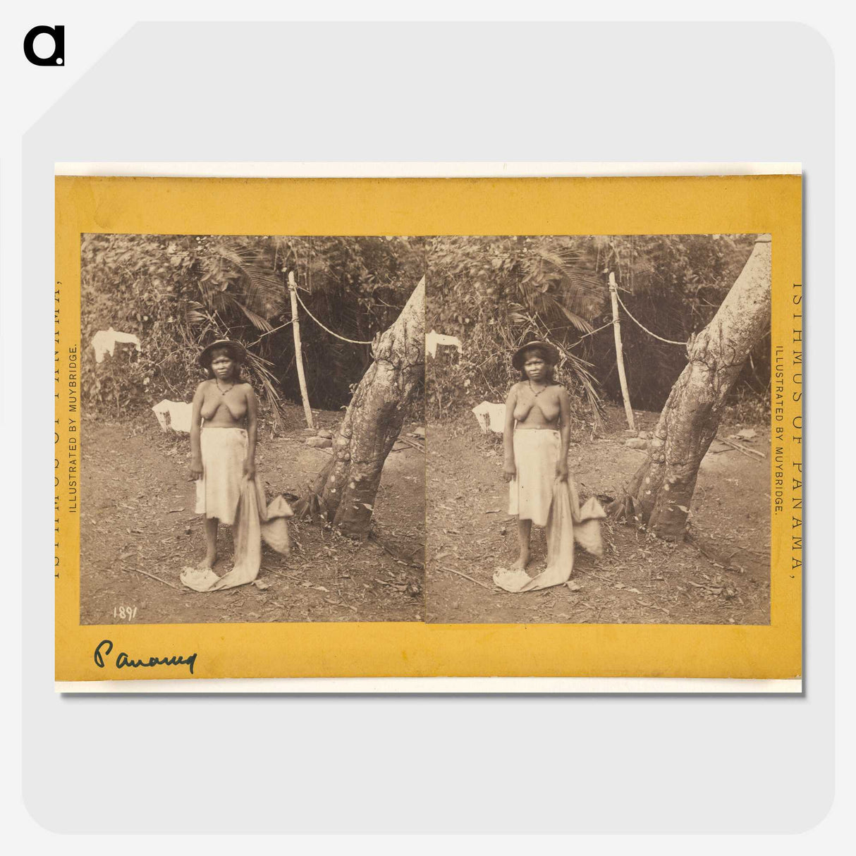 1-60_Eadweard-Muybridge_picture-crop