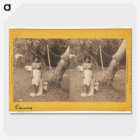 1-60_Eadweard-Muybridge_picture-crop