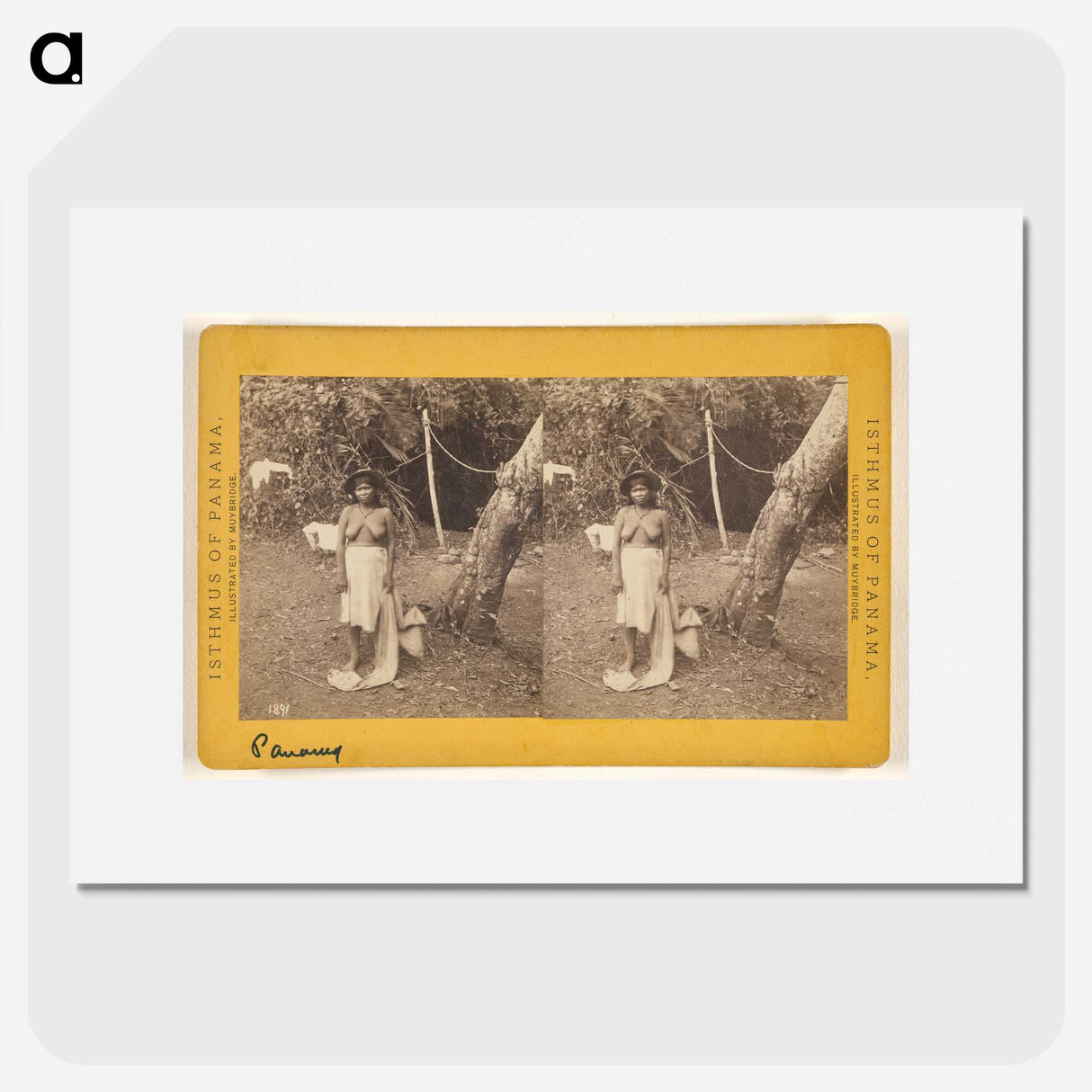 1-60_Eadweard-Muybridge_picture