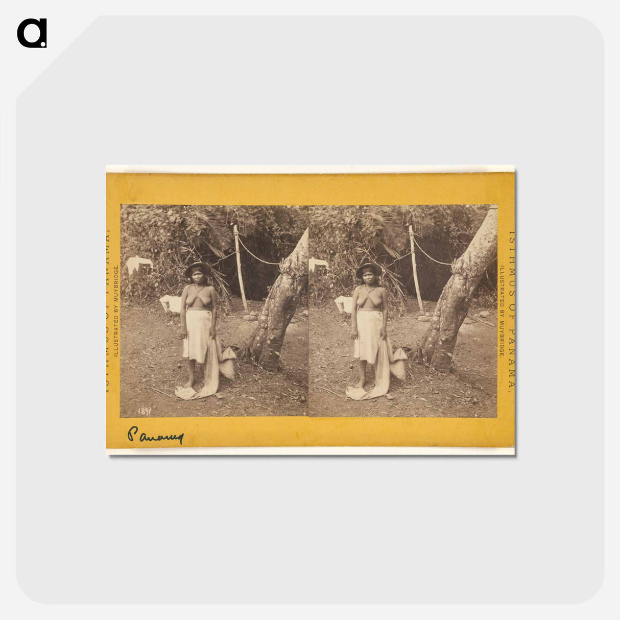 アートポストカード-Panama. Native Women.
 - エドワード マイブリッジ Postcard.