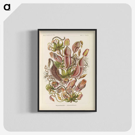 1-60_Ernst-Haeckel_blk-crop