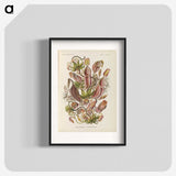 1-60_Ernst-Haeckel_blk