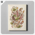 1-60_Ernst-Haeckel_canvas