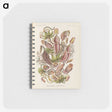 1-60_Ernst-Haeckel_memo