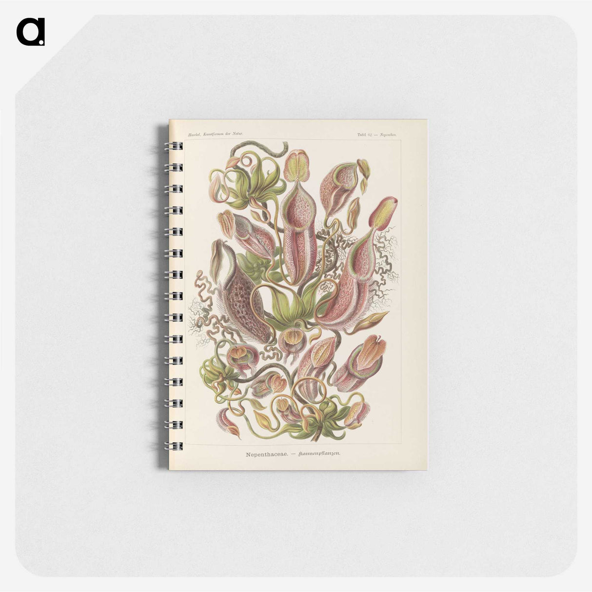 1-60_Ernst-Haeckel_memo