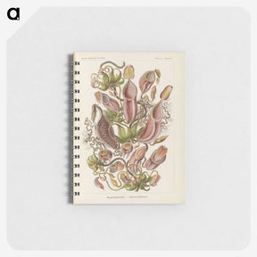 1-60_Ernst-Haeckel_memo