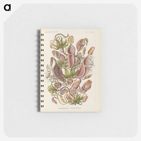 1-60_Ernst-Haeckel_memo