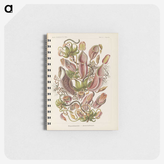 1-60_Ernst-Haeckel_memo