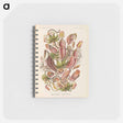アートメモ帳-Nepenthaceae–Kannenpflanzen illustration from Kunstformen der Natur - エルンスト ヘッケル Memo.