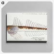 1-60_Frank-Edward-Clarke_canvas