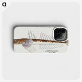 1-60_Frank-Edward-Clarke_phone