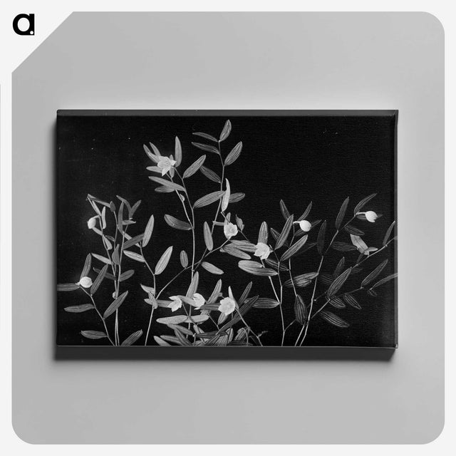 1-60_Frederick-Charles-Brockett_canvas