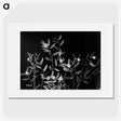1-60_Frederick-Charles-Brockett_picture