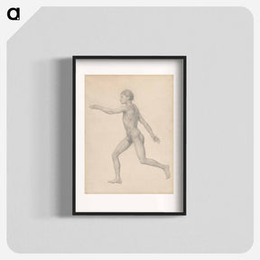 アートポスター-Human Figure, Lateral View, Undissected
 - ジョージ スタッブス Poster.
