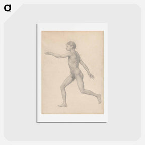 アートポストカード-Human Figure, Lateral View, Undissected
 - ジョージ スタッブス Postcard.