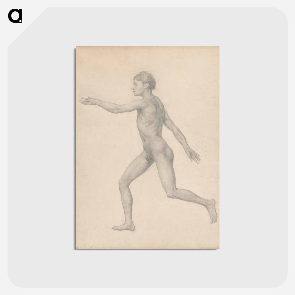 アートポストカード-Human Figure, Lateral View, Undissected
 - ジョージ スタッブス Postcard.