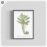1-60_Histoire-des-Plantes-Grasses_blk-crop