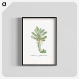 1-60_Histoire-des-Plantes-Grasses_blk
