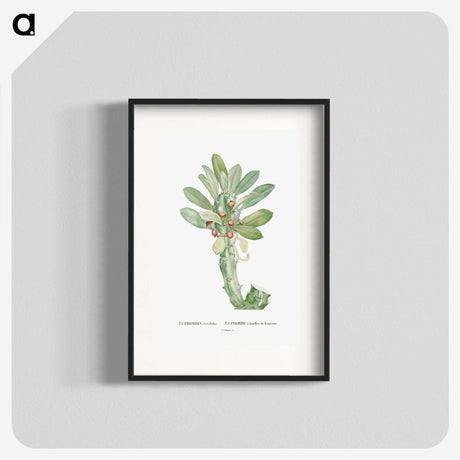 1-60_Histoire-des-Plantes-Grasses_blk