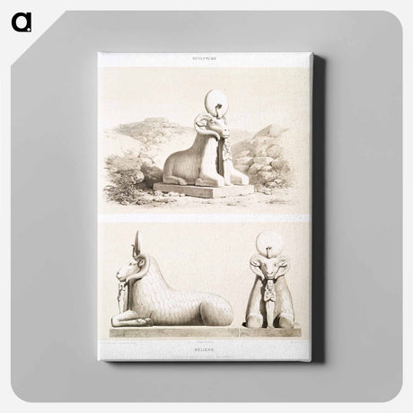 アートパネル-Rams from Histoire de l'art égyptien
 - エジプト美術史 Canvas.