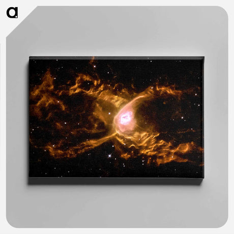 アートパネル-Red Spider Nebula
 - ハッブル画像 Canvas.