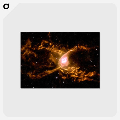 アートポストカード-Red Spider Nebula
 - ハッブル画像 Postcard.