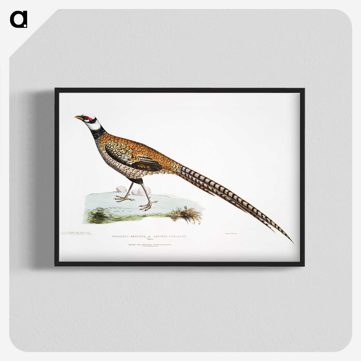 1-60_Indian-Zoology_blk-crop