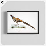 1-60_Indian-Zoology_blk-crop