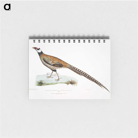 1-60_Indian-Zoology_memo