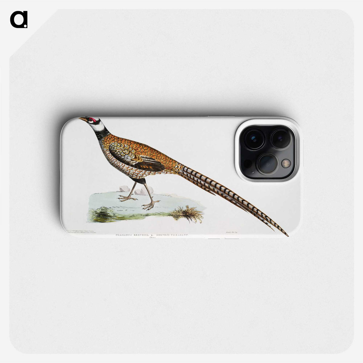 1-60_Indian-Zoology_phone