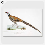 1-60_Indian-Zoology_picture-crop